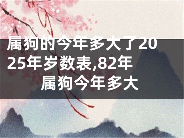 属狗的今年多大了2025年岁数表,82年属狗今年多大