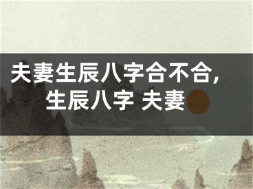 夫妻生辰八字合不合,生辰八字 夫妻