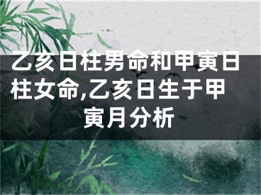 乙亥日柱男命和甲寅日柱女命,乙亥日生于甲寅月分析