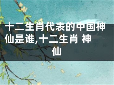 十二生肖代表的中国神仙是谁,十二生肖 神仙