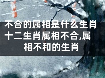 不合的属相是什么生肖十二生肖属相不合,属相不和的生肖