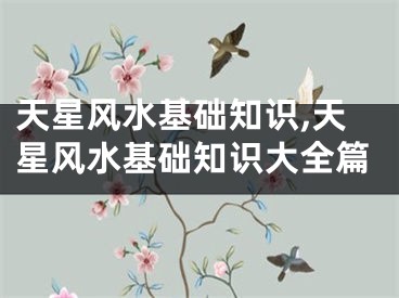 天星风水基础知识,天星风水基础知识大全篇