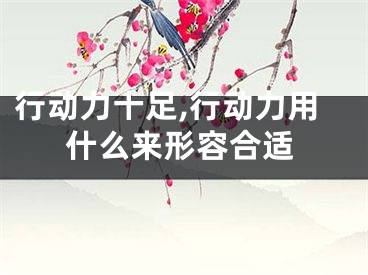 行动力十足,行动力用什么来形容合适