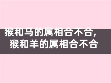 猴和马的属相合不合,猴和羊的属相合不合