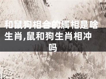 和鼠狗相合的属相是啥生肖,鼠和狗生肖相冲吗