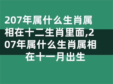 207年属什么生肖属相在十二生肖里面,207年属什么生肖属相在十一月出生