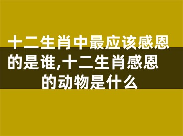 十二生肖中最应该感恩的是谁,十二生肖感恩的动物是什么
