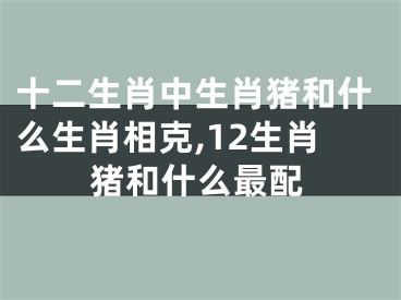 十二生肖中生肖猪和什么生肖相克,12生肖猪和什么最配