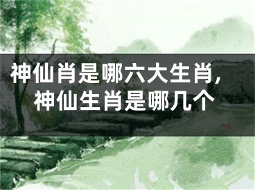 神仙肖是哪六大生肖,神仙生肖是哪几个