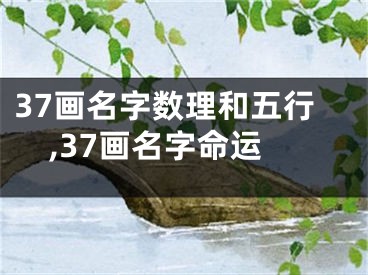 37画名字数理和五行,37画名字命运