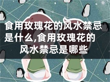 食用玫瑰花的风水禁忌是什么,食用玫瑰花的风水禁忌是哪些