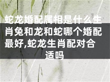 蛇龙婚配属相是什么生肖兔和龙和蛇哪个婚配最好,蛇龙生肖配对合适吗