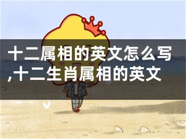十二属相的英文怎么写,十二生肖属相的英文