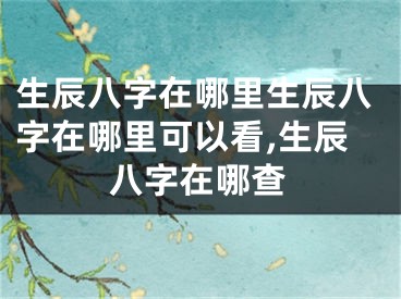 生辰八字在哪里生辰八字在哪里可以看,生辰八字在哪查