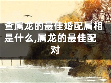 查属龙的最佳婚配属相是什么,属龙的最佳配对