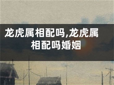 龙虎属相配吗,龙虎属相配吗婚姻