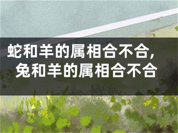蛇和羊的属相合不合,兔和羊的属相合不合