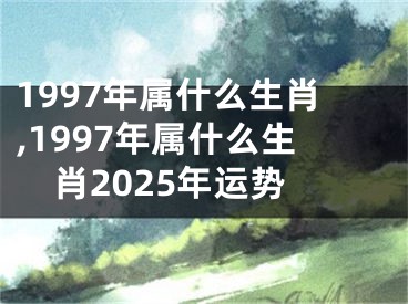 1997年属什么生肖,1997年属什么生肖2025年运势