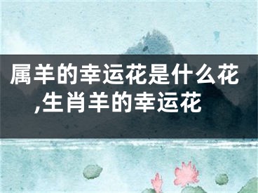 属羊的幸运花是什么花,生肖羊的幸运花
