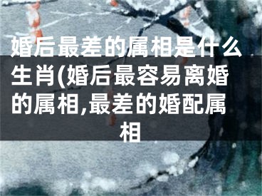 婚后最差的属相是什么生肖(婚后最容易离婚的属相,最差的婚配属相