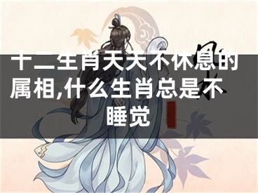 十二生肖天天不休息的属相,什么生肖总是不睡觉