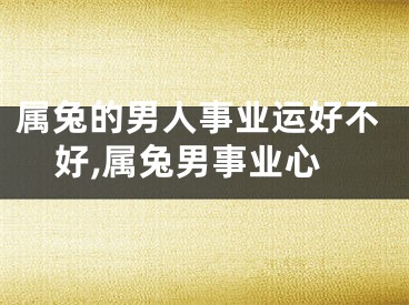 属兔的男人事业运好不好,属兔男事业心