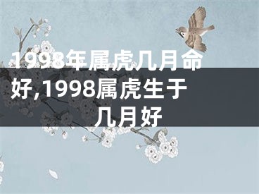 1998年属虎几月命好,1998属虎生于几月好