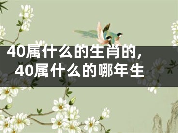 40属什么的生肖的,40属什么的哪年生