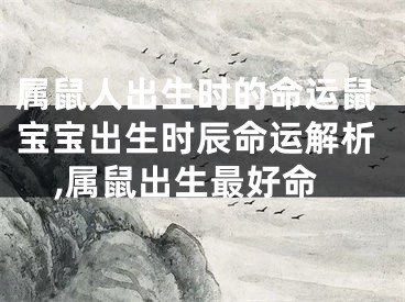 属鼠人出生时的命运鼠宝宝出生时辰命运解析,属鼠出生最好命