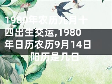 1980年农历九月十四出生交运,1980年日历农历9月14日阳历是几日