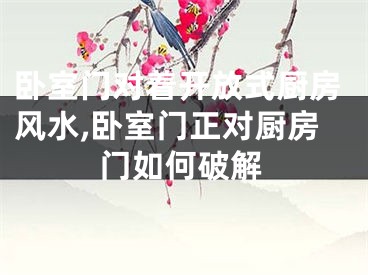 卧室门对着开放式厨房风水,卧室门正对厨房门如何破解