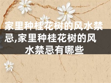 家里种桂花树的风水禁忌,家里种桂花树的风水禁忌有哪些