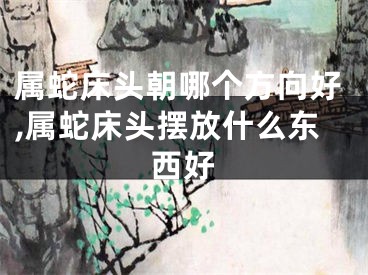 属蛇床头朝哪个方向好,属蛇床头摆放什么东西好