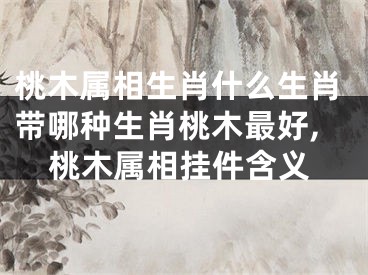 桃木属相生肖什么生肖带哪种生肖桃木最好,桃木属相挂件含义