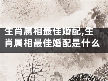 生肖属相最佳婚配,生肖属相最佳婚配是什么