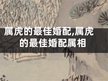 属虎的最佳婚配,属虎的最佳婚配属相