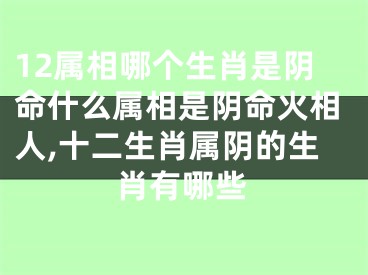 12属相哪个生肖是阴命什么属相是阴命火相人,十二生肖属阴的生肖有哪些
