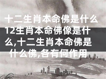 十二生肖本命佛是什么12生肖本命佛像是什么,十二生肖本命佛是什么佛,各有何作用