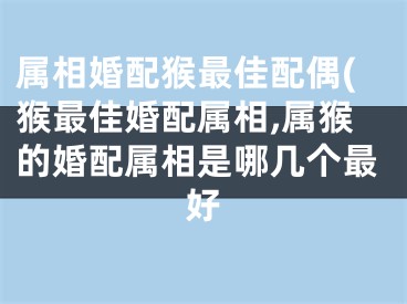 属相婚配猴最佳配偶(猴最佳婚配属相,属猴的婚配属相是哪几个最好