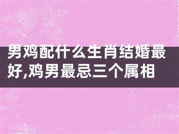 男鸡配什么生肖结婚最好,鸡男最忌三个属相