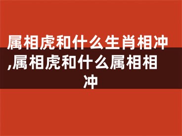 属相虎和什么生肖相冲,属相虎和什么属相相冲