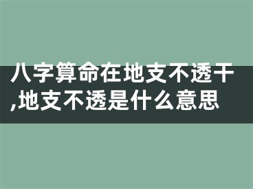 八字算命在地支不透干,地支不透是什么意思