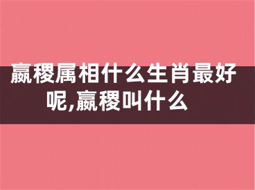 嬴稷属相什么生肖最好呢,嬴稷叫什么
