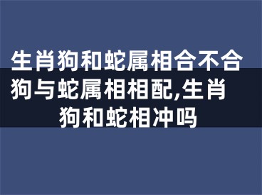 生肖狗和蛇属相合不合狗与蛇属相相配,生肖狗和蛇相冲吗