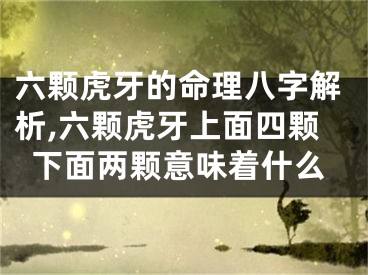 六颗虎牙的命理八字解析,六颗虎牙上面四颗下面两颗意味着什么