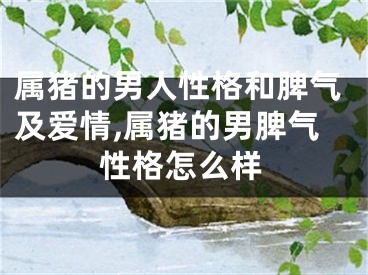 属猪的男人性格和脾气及爱情,属猪的男脾气性格怎么样