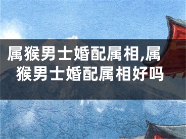 属猴男士婚配属相,属猴男士婚配属相好吗