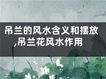 吊兰的风水含义和摆放,吊兰花风水作用