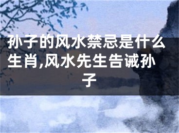孙子的风水禁忌是什么生肖,风水先生告诫孙子