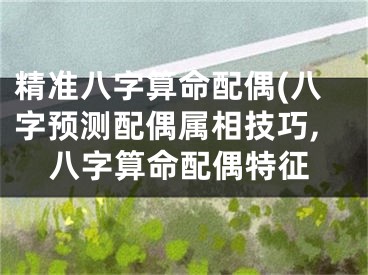 精准八字算命配偶(八字预测配偶属相技巧,八字算命配偶特征
